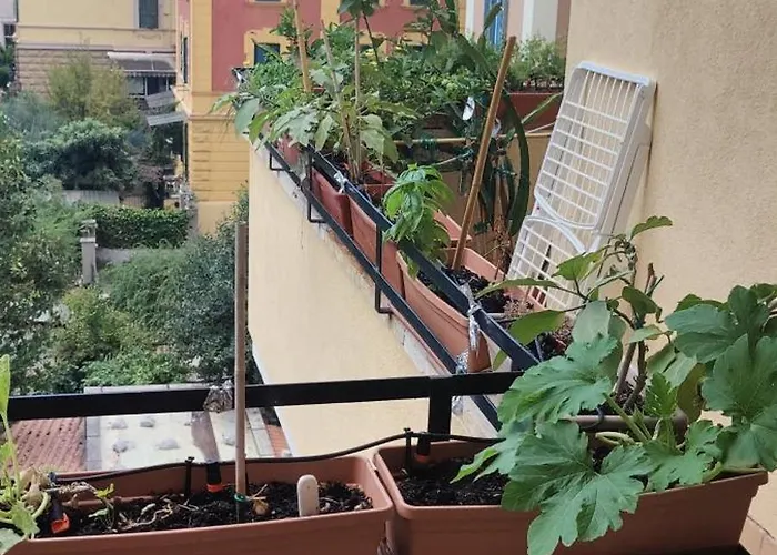 Camera Piazza Bologna